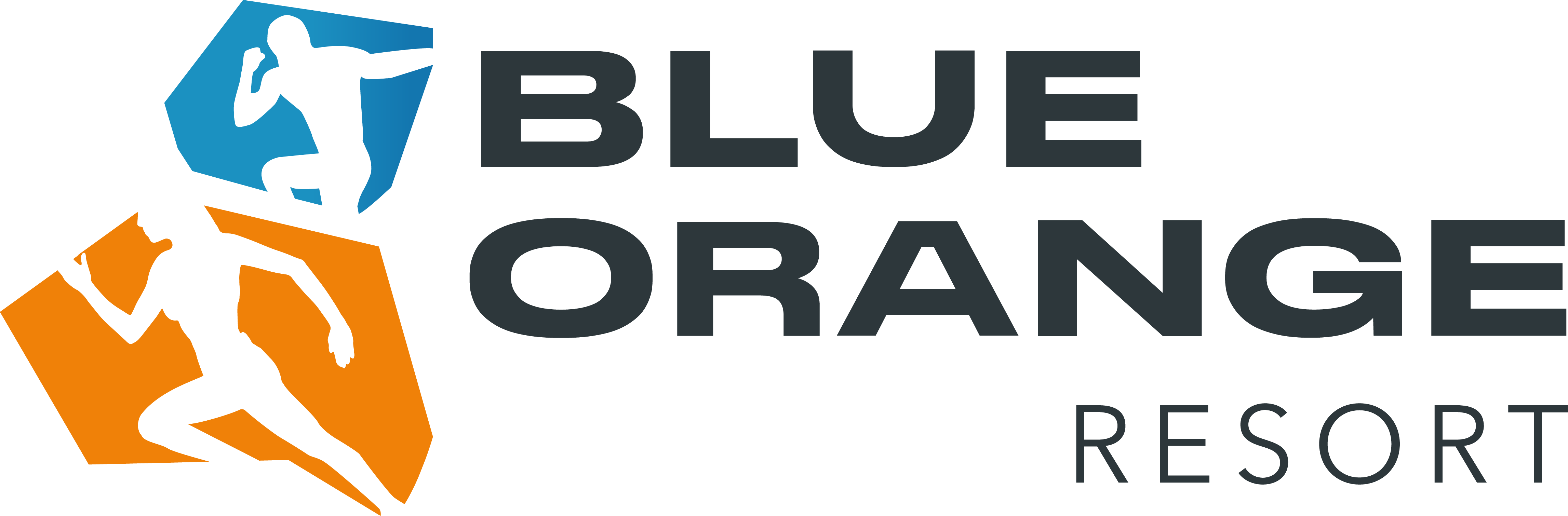 Logo-Blue Orange